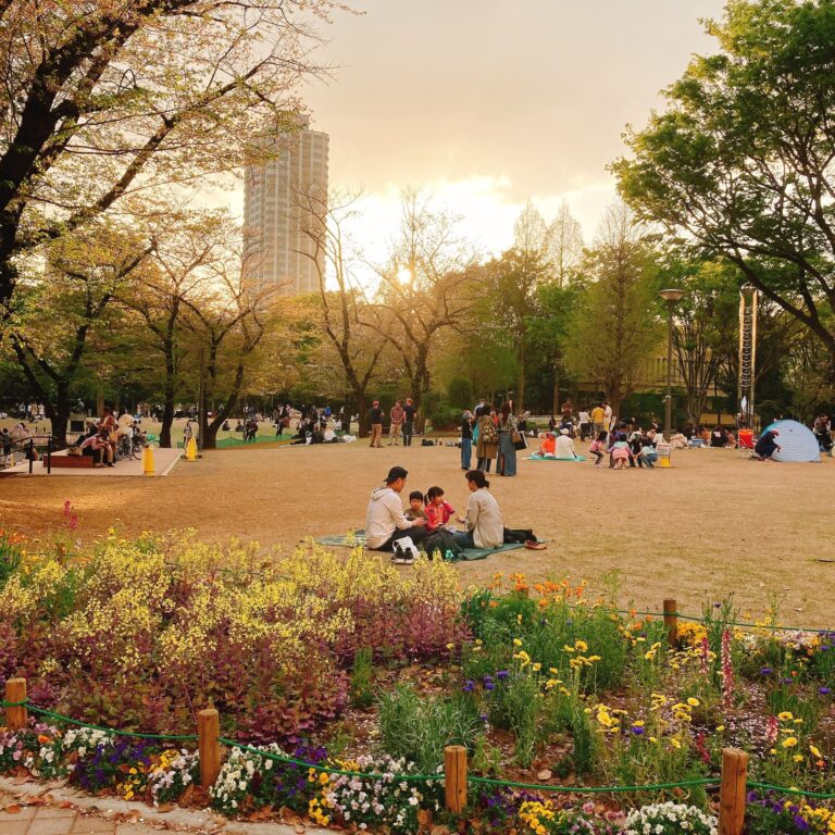 【花見にも最適！】新宿中央公園が居心地良い空間になっていた♪
