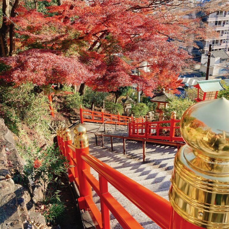 【ご縁を紡ぐ神社】栃木県の足利織姫神社が素敵すぎた